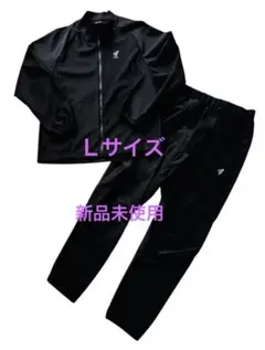 Item thumbnail for item d44751d6-b528-4683-a752-fcdfed527504