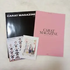 seventeen carat 会報誌 vol.13 14 2冊セット