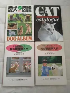 2026年最新】犬と猫のベーシック画像診断学の人気アイテム - メルカリ