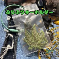 ぶりぶりキーホルダー①