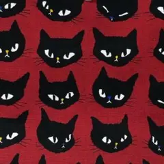 カシュミン★様専用ページ