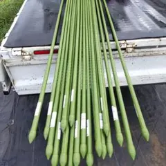 タキロン 新ねぶし 園芸用支柱 イボ竹 16mm×1800mm 50本セット タキロン 新ねぶし 園芸用支柱 イボ竹 16mm×1800mm 50本 引取限定