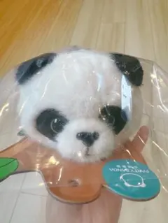 Item thumbnail for item 056b1ee2-a79b-439b-902e-79cee248f240