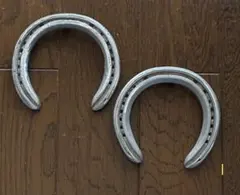 競走馬使用済み 蹄鉄 2個セット Ｉ