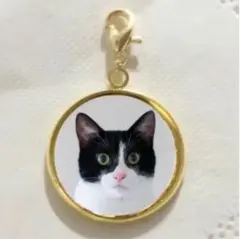 ハチワレ子猫ちゃん 雑貨 グッズ キーホルダーチャーム