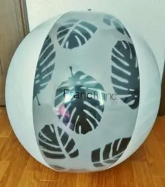 Item thumbnail for item ee105a85-41ea-43c2-b63e-dd578b3ad5ed