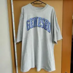 ヴィンテージ CRABLE SPORTSWEAR カレッジTシャツ XL 灰色