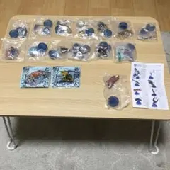 新江ノ島水族館への誘い2 全13種セット　＋　サンシャイン水族館　コブダイのサムネイル