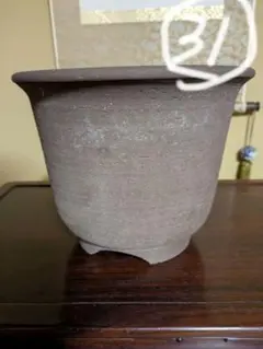 常滑焼 風情ある ウ泥鉢 7号 和風 陶器鉢 観葉植物 山野草 盆栽 植木鉢