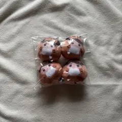 ハイキュー 宮治