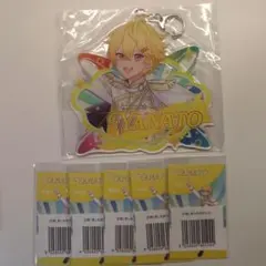 すにすて やなと BIGアクリルキーホルダー すにくじ STPR - メルカリ