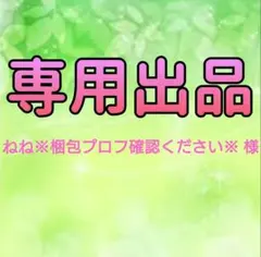 にじさんじ Standard Goods チェキ風カード すぷれあ 城瀬いすみ