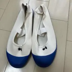 ムーンスター体育館シューズ　上靴　上履き　バレーシューズ　青ブルーコバルト26㎝