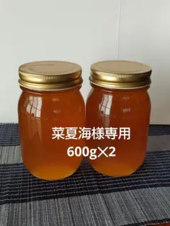 日本ミツバチ濃厚蜂蜜（秋蜜、600g✕3）