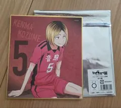 ハイキュー展 トレーディングミニ色紙 孤爪研磨