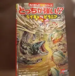 【送料無料】美品　ライギョゲームの楽しみ方 ライギョゲームの楽しみ方 長島氏 - HEDDONルアーなど USA釣具に関する情報