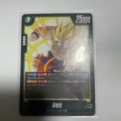 FP-034 孫悟空　交流会プロモ