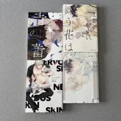 BLコミック　4冊まとめ売り　【81】