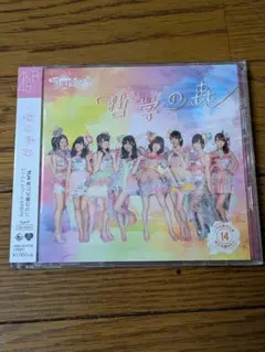 AKB48 哲学の森　CD+DVD　TypeB チームサプライズ　パチンコ