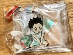 ハイキュー ハイキュー展 ゆらゆら アクリルスタンド アクスタ 岩泉