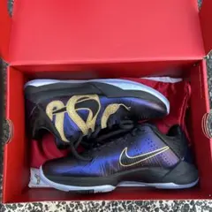 Item thumbnail for item 3302a22e-cb6e-489d-ab72-ecee9aa0190c