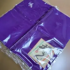 Item thumbnail for item beedbc4c-c2b2-44d6-bc17-8a751036c1ba