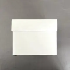 Item thumbnail for item c64ee9fd-64f6-4b12-8e7e-ac0519b8e293