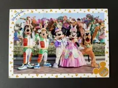 東京ディズニーランド イースターワンダーランド2014 スペシャルフォト