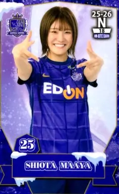 Item thumbnail for item f912879f-0148-46ae-b6a6-0350d0a32902