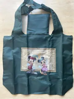 お値下げ！ディズニーホテル、ミラコスタ　エコバッグ　2点セット