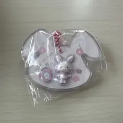 【ウィッシュミーメル】サンリオキャラクターズ　パッケージチャーム&チョコボーロ