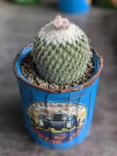 とまと様 リクエスト 2点 まとめ商品