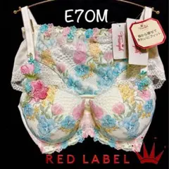 ＊E70Mトリンプ プレミアム レッドレーベル 芙蓉 ブラ＆ショーツ