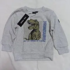 Item thumbnail for item 02ff0daf-b697-4719-b2c5-f5de74d035d6