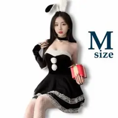 うさ耳 ブラックサンタ コスプレ 5点セット バニーガール クリスマス g41