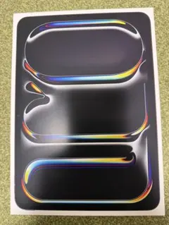 【極美品】Apple11インチiPad Pro M5 512GBスペースブラック