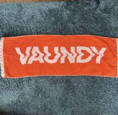 u*r様 バウンディタオル