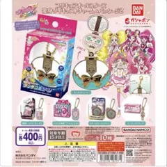 プリキュアオールスターズ　変身ダイキャストチャーム＆パッケージ2 コンプ