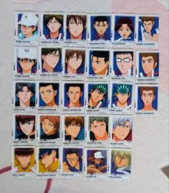 越前手塚不二跡部幸村忍足他 トレカ 11弾 9枚テニプリステージ テニス
