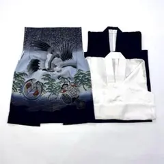 Item thumbnail for item 8ae39833-0991-417d-a77e-7ceef0d020e2