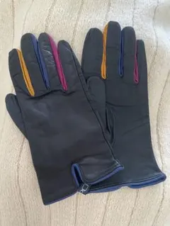 ALPO イタリア レザーグローブ iena beams