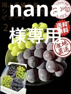 nana様専用⭕️4房入岡山県備北産 訳あり家庭用‼️ピオーネ2kg 送料無料