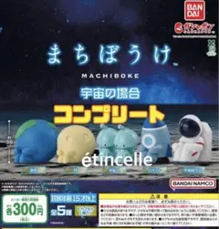 Mr.ミーん！プロフに詳細有ります⁂様 リクエスト 2点 まとめ商品