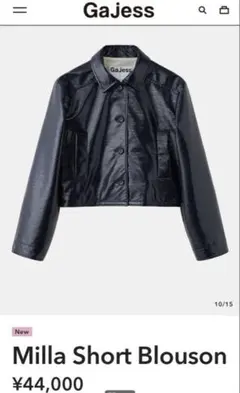 2025年最新】gajess レザーの人気アイテム - メルカリ