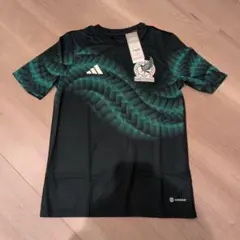 Item thumbnail for item 701bc7d2-abf5-42c2-8225-ce19da347597