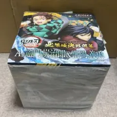 鬼滅の刃 無限城 アニプレックスオンラインくじ A賞 冨岡義勇 竈門炭治郎