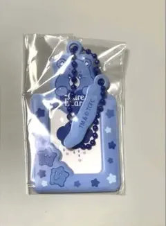 CareBears ケアベア ミニフォトケース グランピーベア