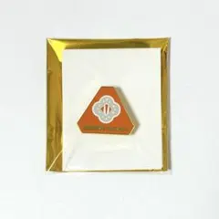 鬼滅の刃 我妻善逸 隊士百景 コレクションピンズ 鍔