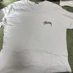 Stussy Tシャツ