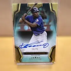 vladimir guerrero ブラディミール・ゲレーロ 直筆サインボール - メルカリ